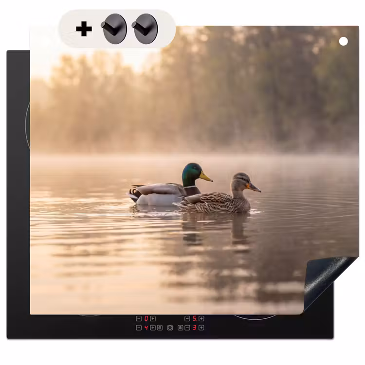 Protection à induction avec crochets - Canards - Eau - Brouillard - Nature — 3