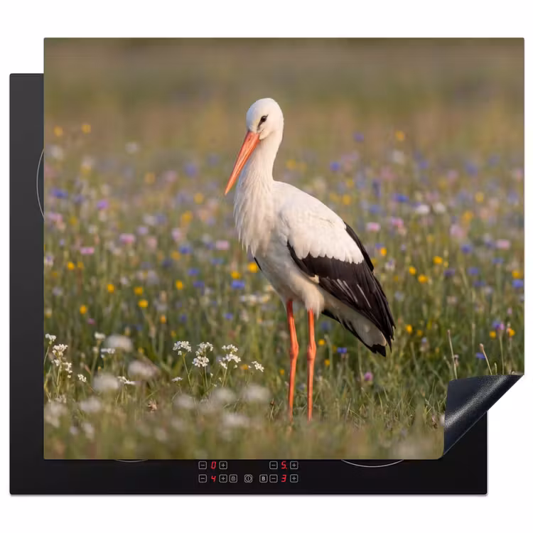 Protection plaque induction - Aigle royal - Fleurs - Prairie - Coloré — 1