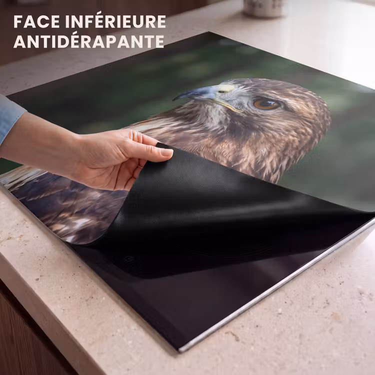 Protection plaque induction - Buse - Rapace - Nature - Marron — 7