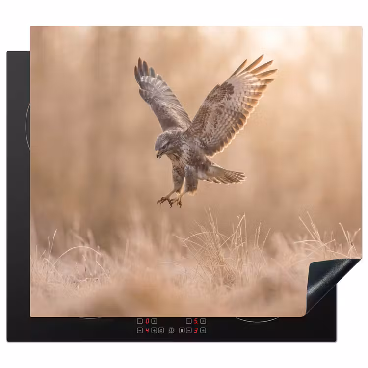 Protection plaque induction - Buse - Rapace - Nature - Marron — 1