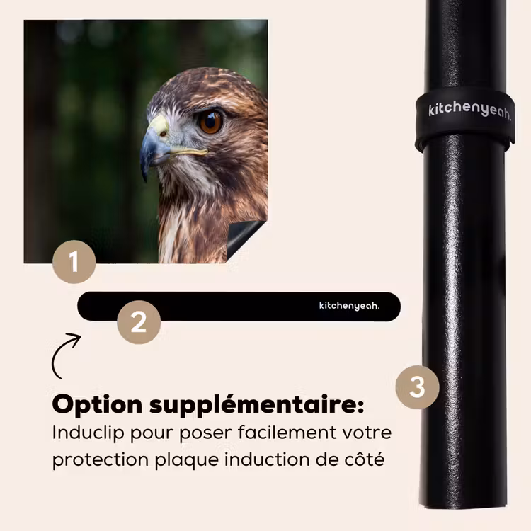 Protection plaque induction - Buse - Rapace - Nature - Marron — 8