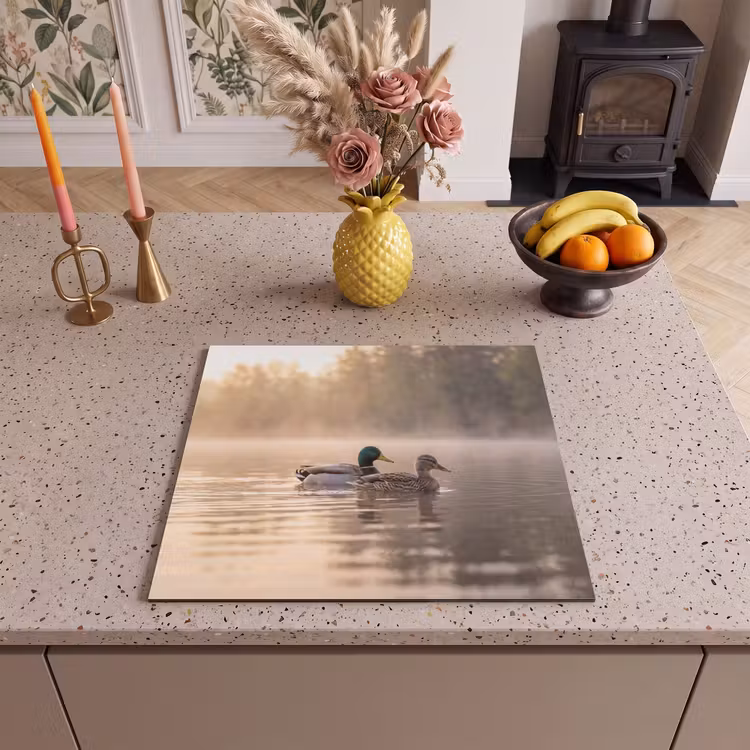 Protection plaque induction - Canards - Eau - Brouillard - Nature — 3