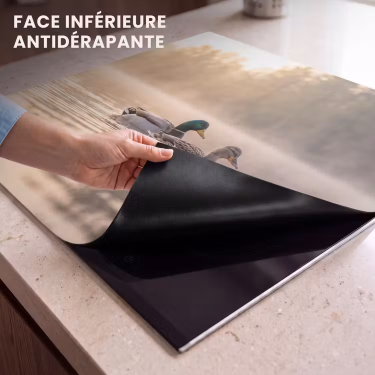 Protection plaque induction - Canards - Eau - Brouillard - Nature — 7
