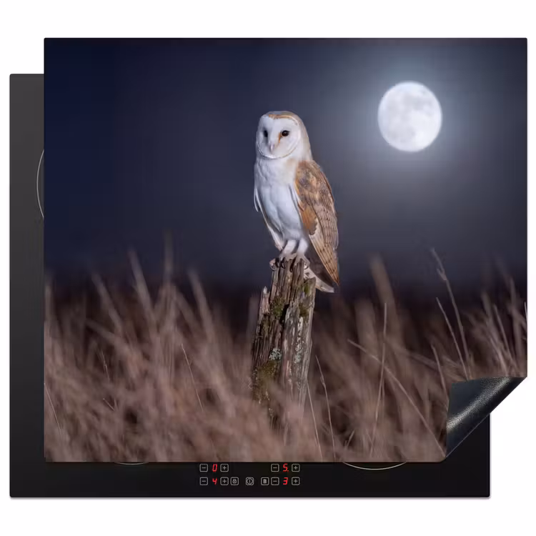 Protection plaque induction - Chouette effraie - Lune - Nuit — 1