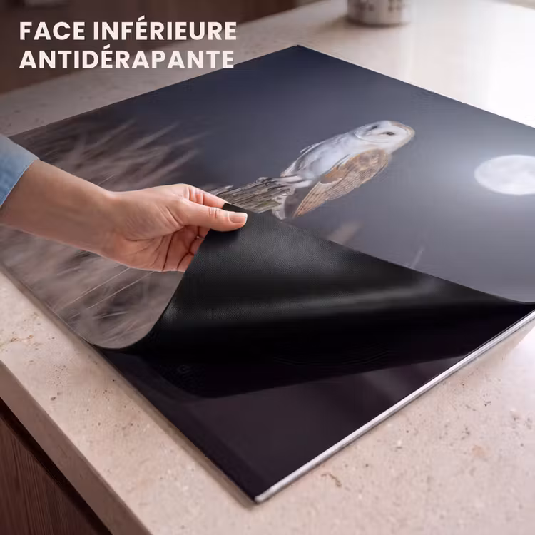 Protection plaque induction - Chouette effraie - Lune - Nuit — 7