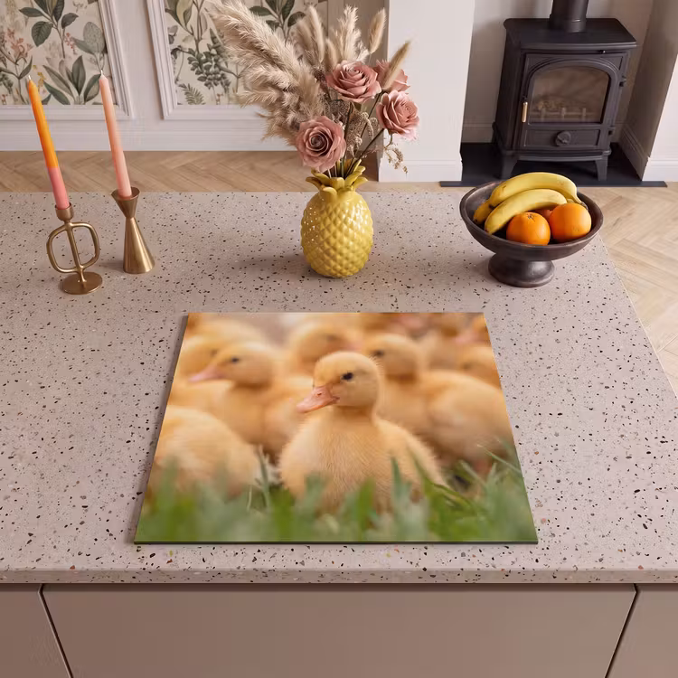 Protection plaque induction - Flèche - Canard - Nature - Jaune — 3