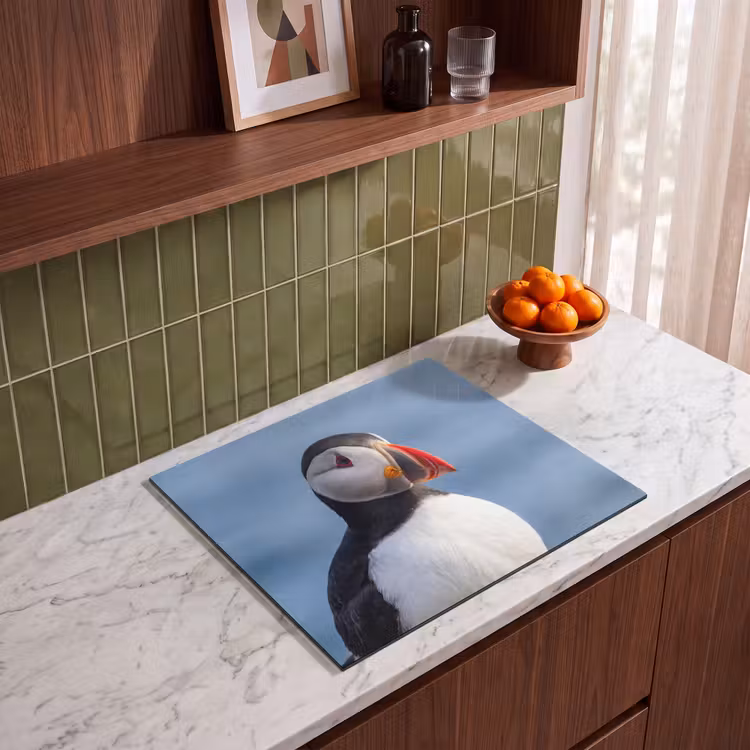 Protection plaque induction - Macareux - Portrait - Nature — 4