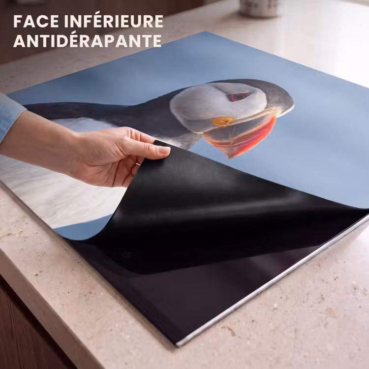 Protection plaque induction - Macareux - Portrait - Nature — 7
