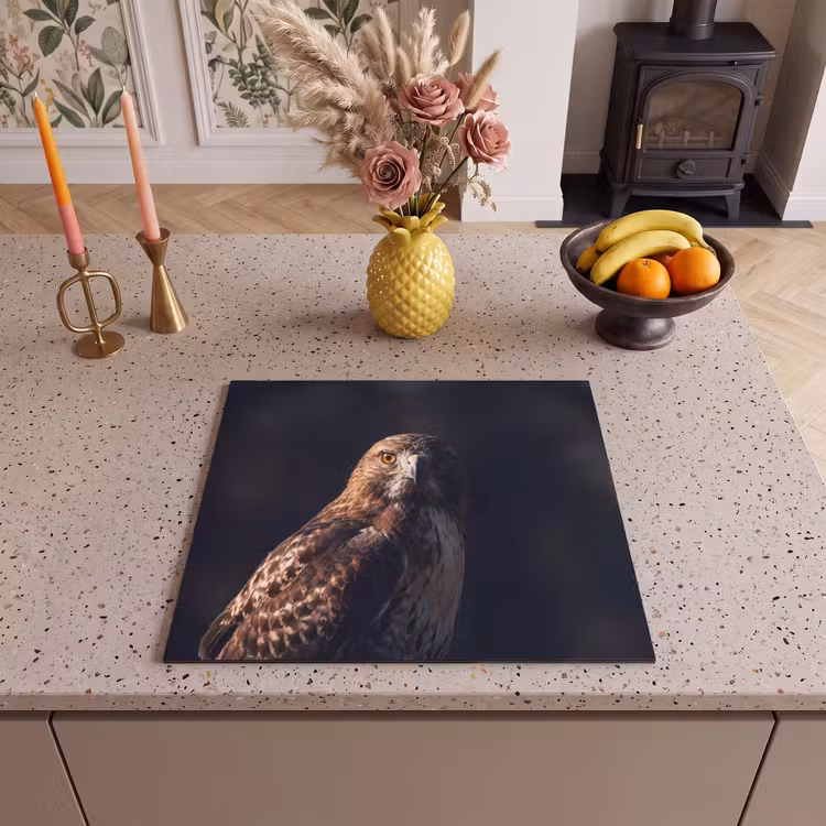 Protection plaque induction - Oiseau de proie - Buse - Brune — 3