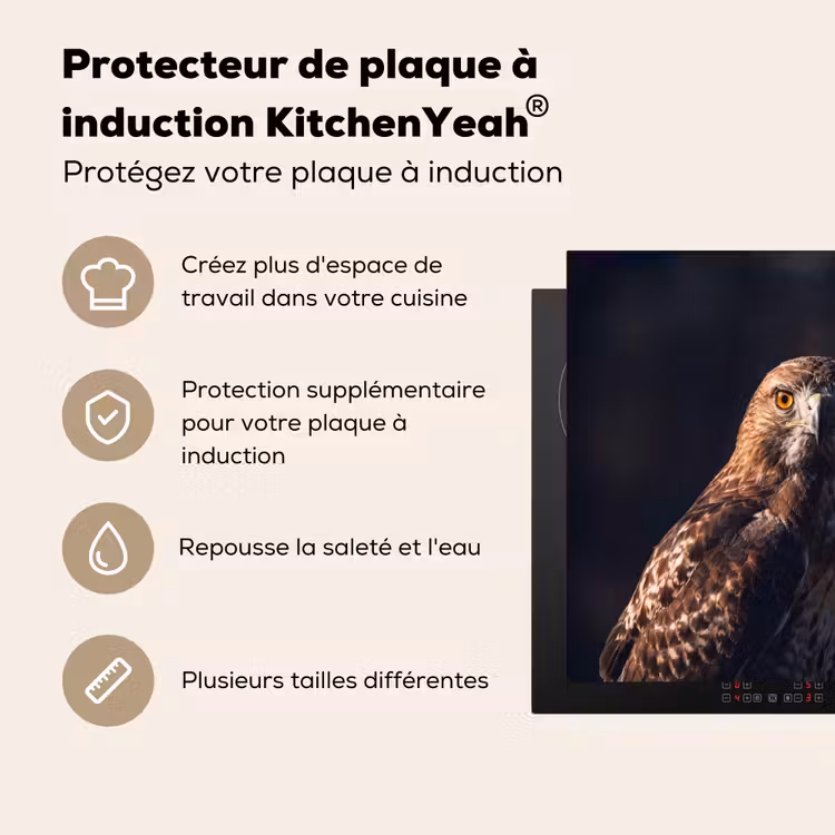 Protection plaque induction - Oiseau de proie - Buse - Brune — 5