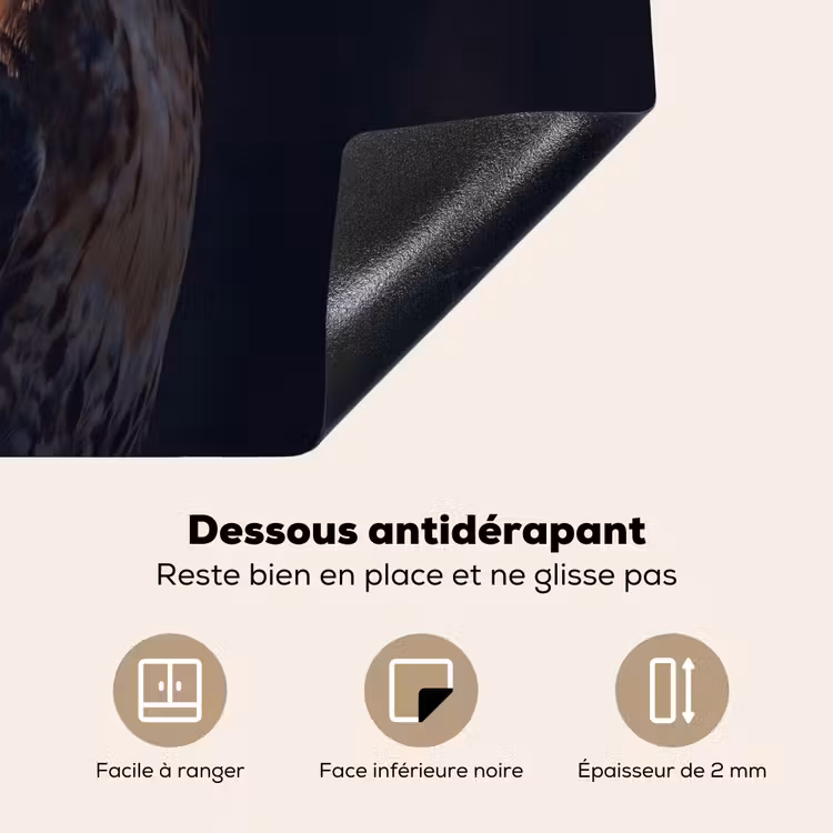 Protection plaque induction - Oiseau de proie - Buse - Brune — 7