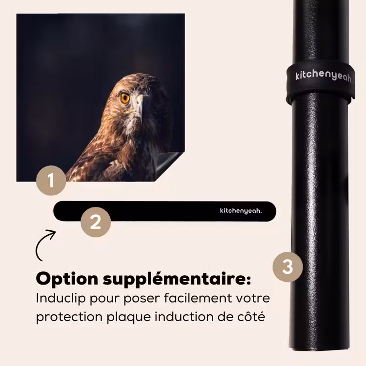 Protection plaque induction - Oiseau de proie - Buse - Brune — 8