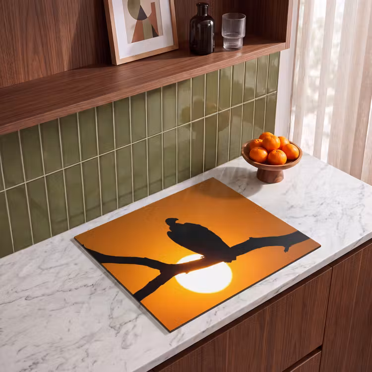 Protection plaque induction - Vautour - Branche - Soleil - Orange — 4