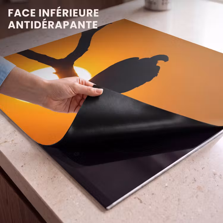 Protection plaque induction - Vautour - Branche - Soleil - Orange — 7