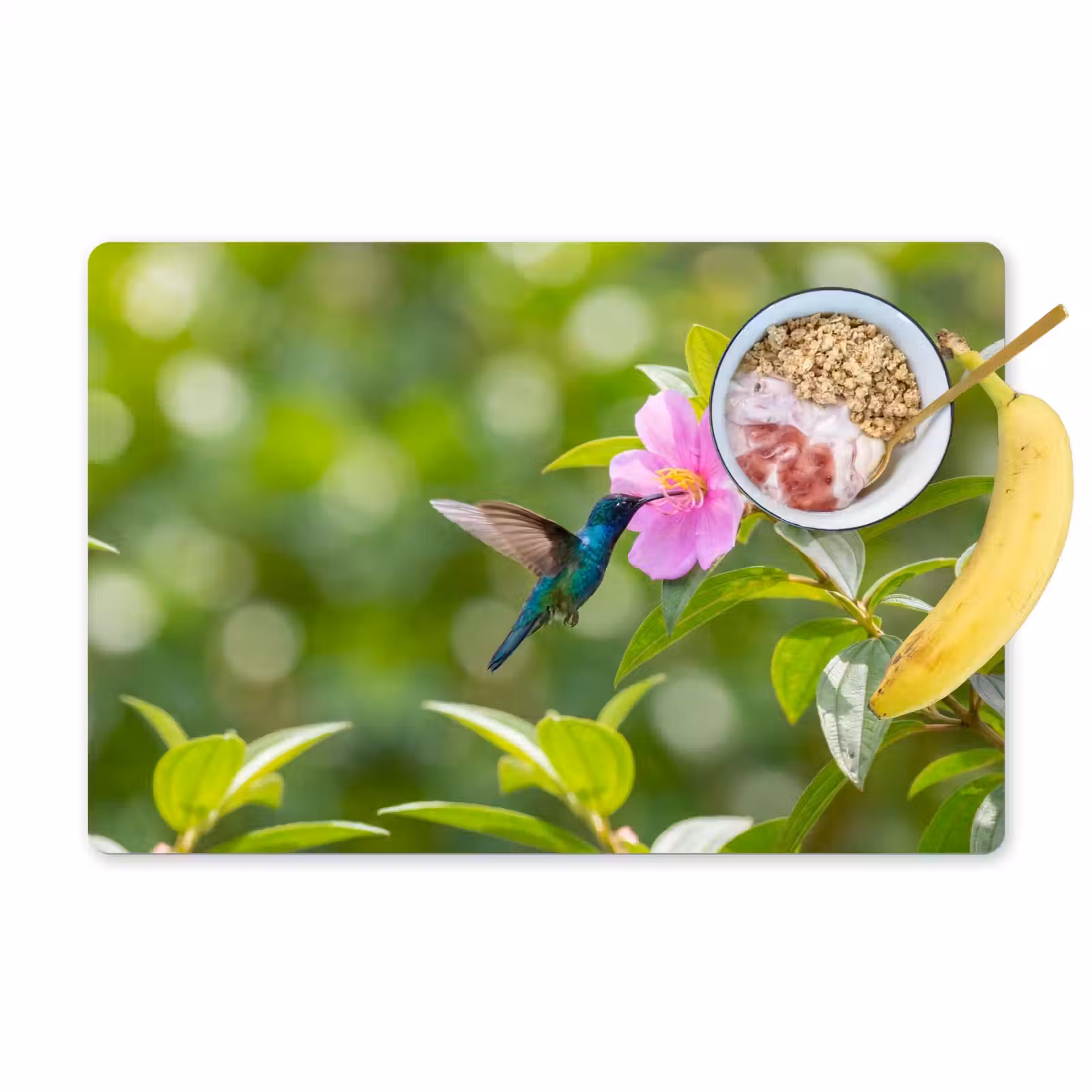 Set de table – 6 pièces - Colibri - Fleur - Nature - Vert — 1