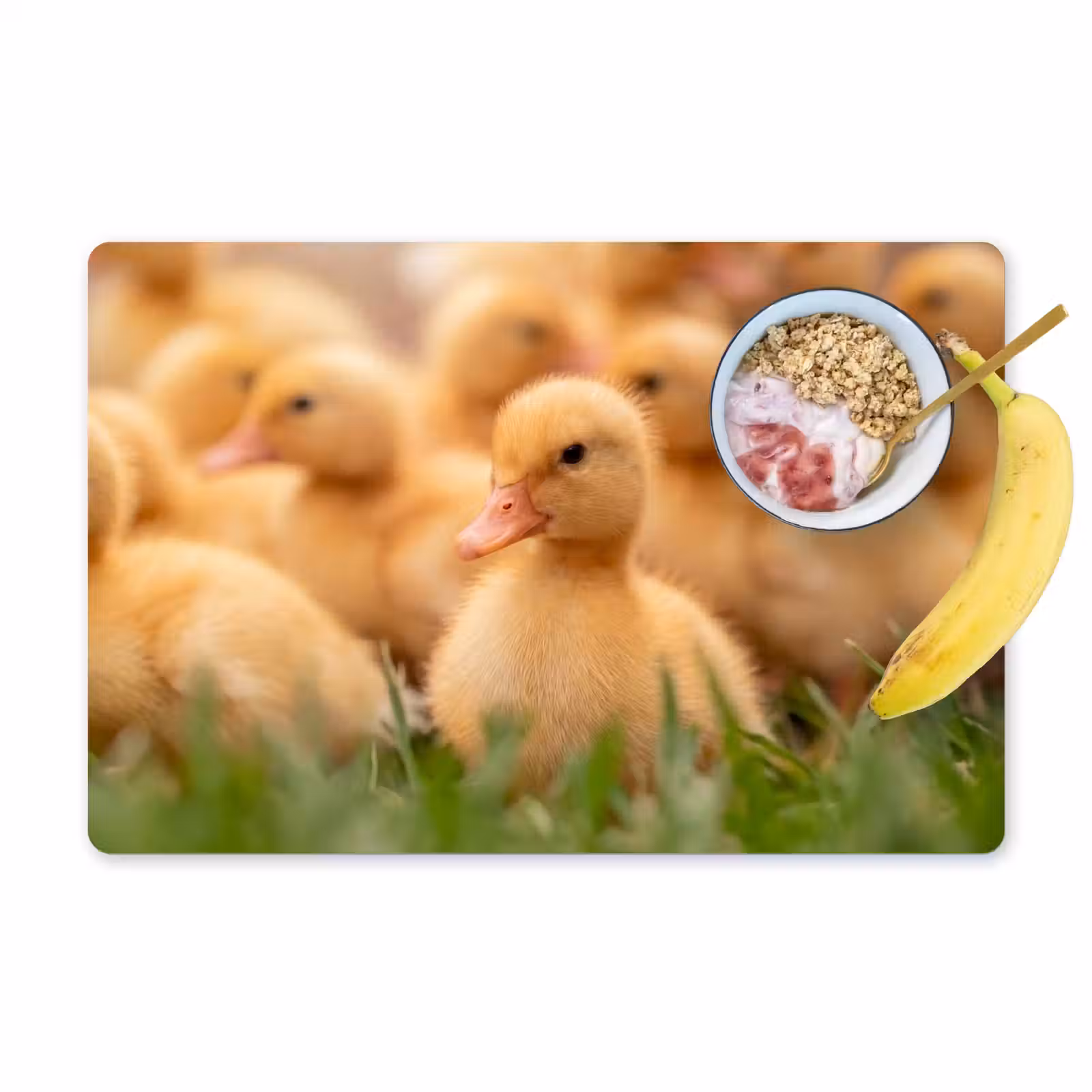 Set de table – 6 pièces - Flèche - Canard - Nature - Jaune — 1