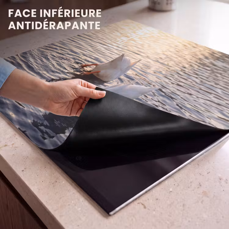 Protection plaque induction - Canards - Eau - Nature — 7