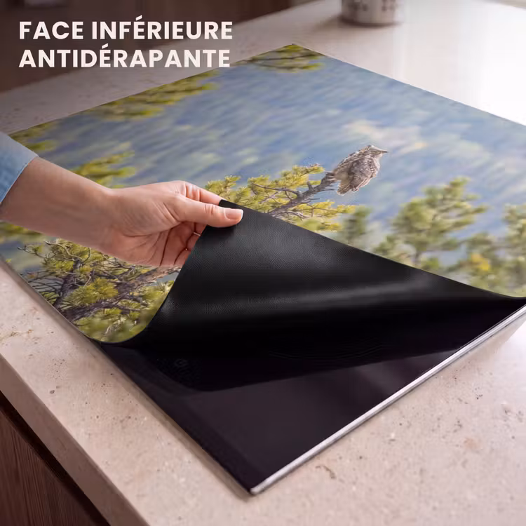 Protection plaque induction - Chouette - Hibou grand-duc - Arbres - Nature — 7