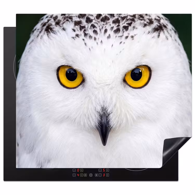 Protection plaque induction - Harfang des neiges - Portrait - Jaune — 1