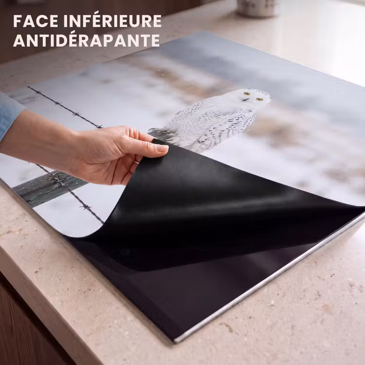 Protection plaque induction - Hibou des neiges - Clôture - Neige - Blanc — 7
