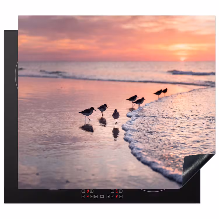 Protection plaque induction - Mouettes - Plage - Mer - Rose — 1
