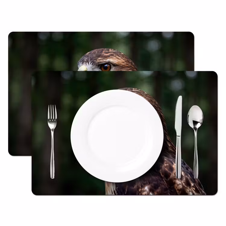 Set de table – 6 pièces - Buse - Rapace - Nature - Marron — 2