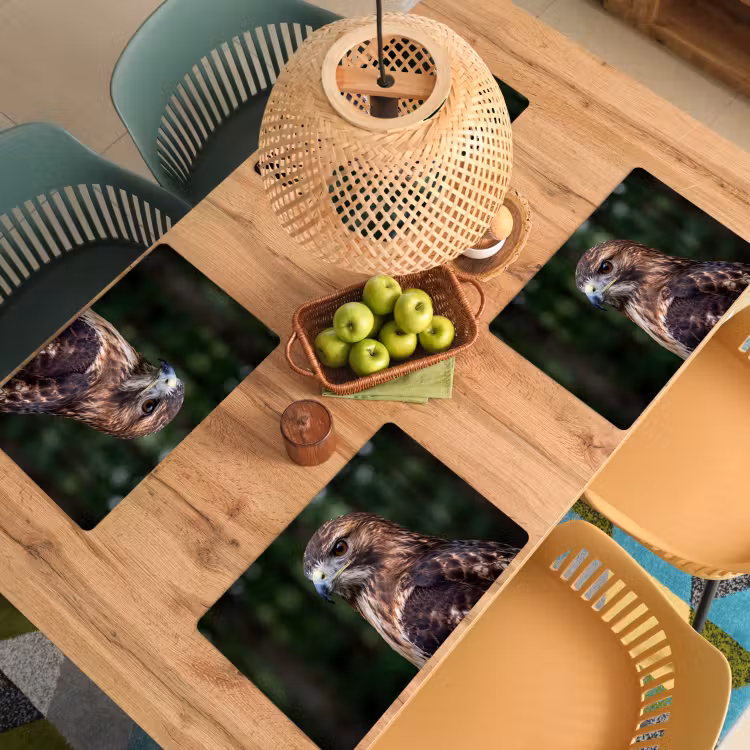 Set de table – 6 pièces - Buse - Rapace - Nature - Marron — 3