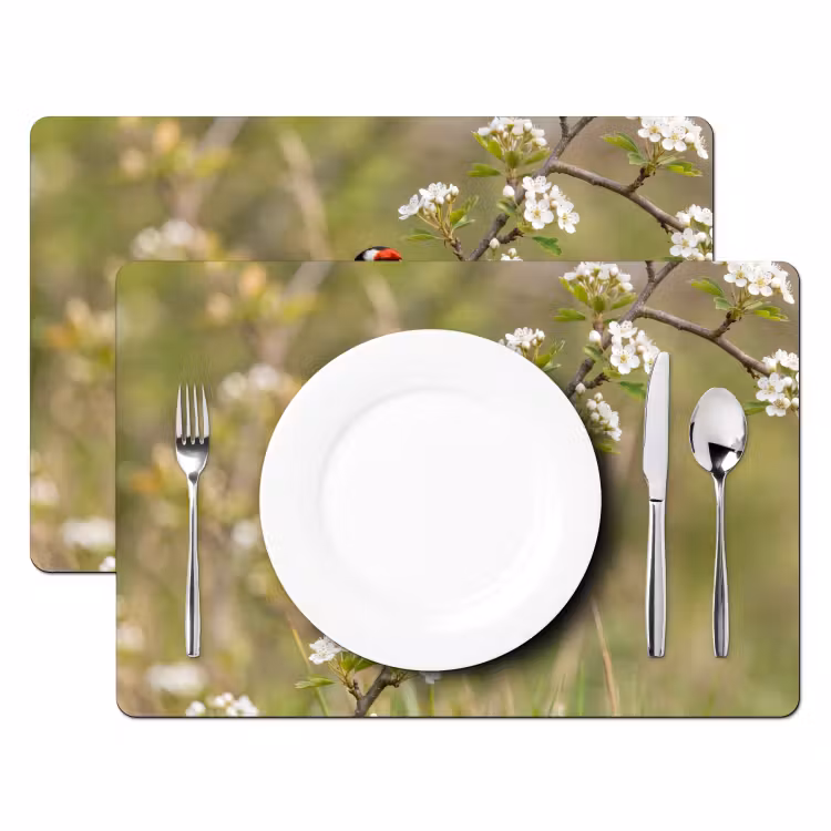 Set de table – 6 pièces - Chardonneret - fleurs - printemps - nature - coloré — 2