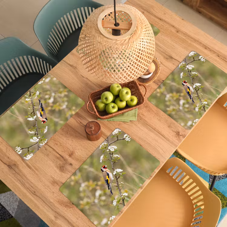 Set de table – 6 pièces - Chardonneret - fleurs - printemps - nature - coloré — 3