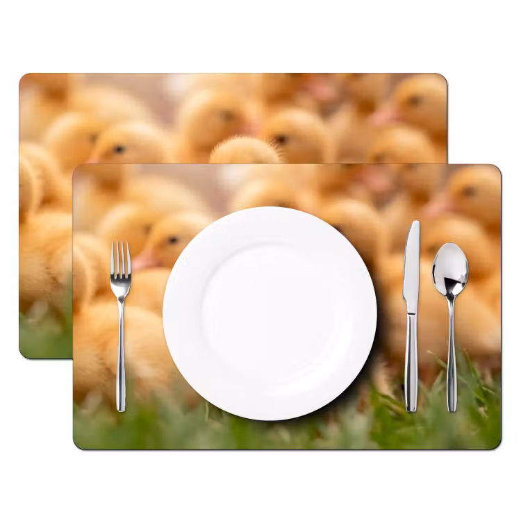Set de table – 6 pièces - Flèche - Canard - Nature - Jaune — 2