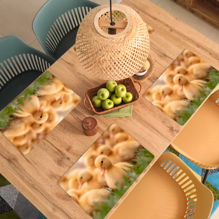 Set de table – 6 pièces - Flèche - Canard - Nature - Jaune — 3