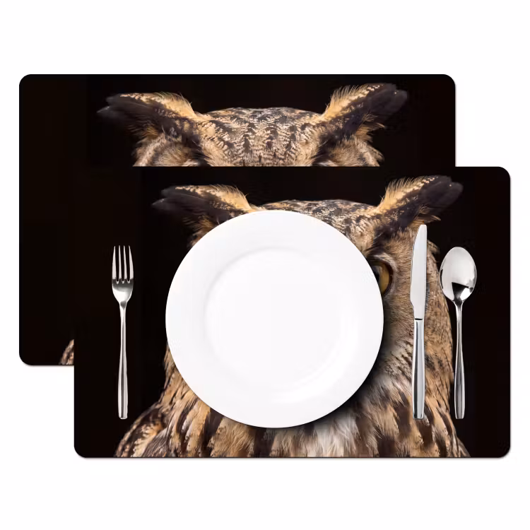 Set de table – 6 pièces - Hibou - Portrait - Marron — 2