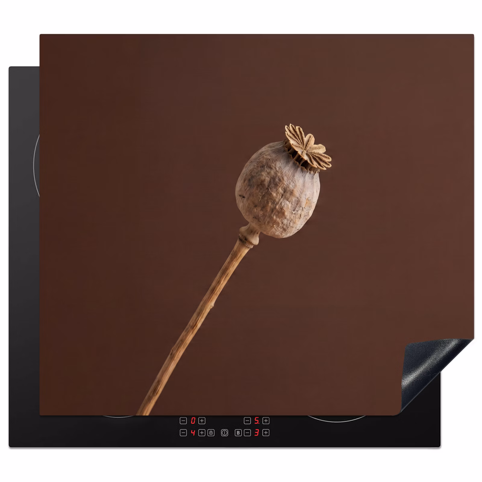Protection plaque induction - Bulbe de pavot - Fleur sèche - Marron - Minimaliste — 1