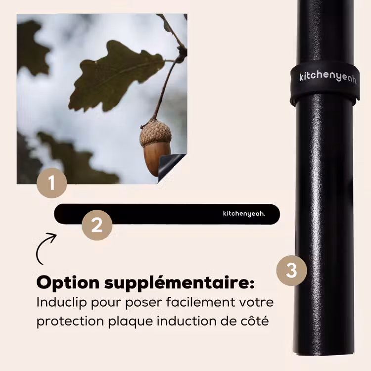 Protection plaque induction - Gland - Feuille de chêne - Forêt - Automne - Nature — 8