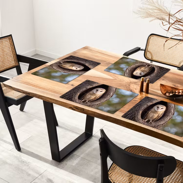 Set de table – 6 pièces - Chouette effraie - Arbre - Nature - Marron — 4