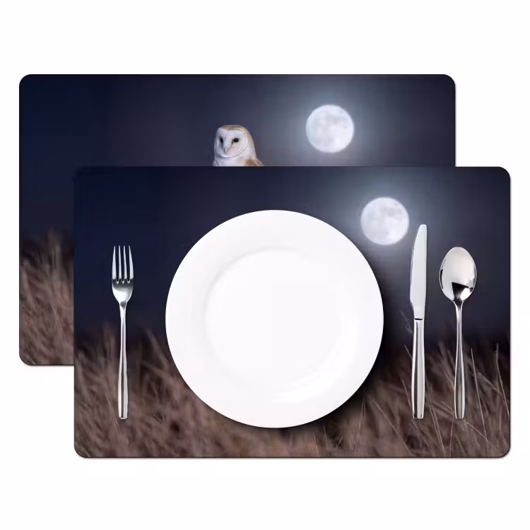 Set de table – 6 pièces - Chouette effraie - Lune - Nuit — 2