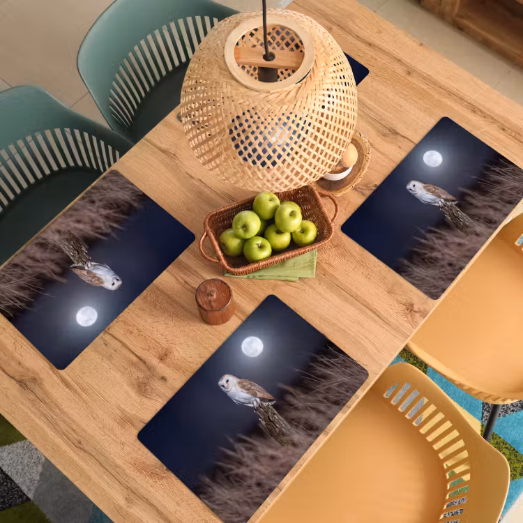 Set de table – 6 pièces - Chouette effraie - Lune - Nuit — 3