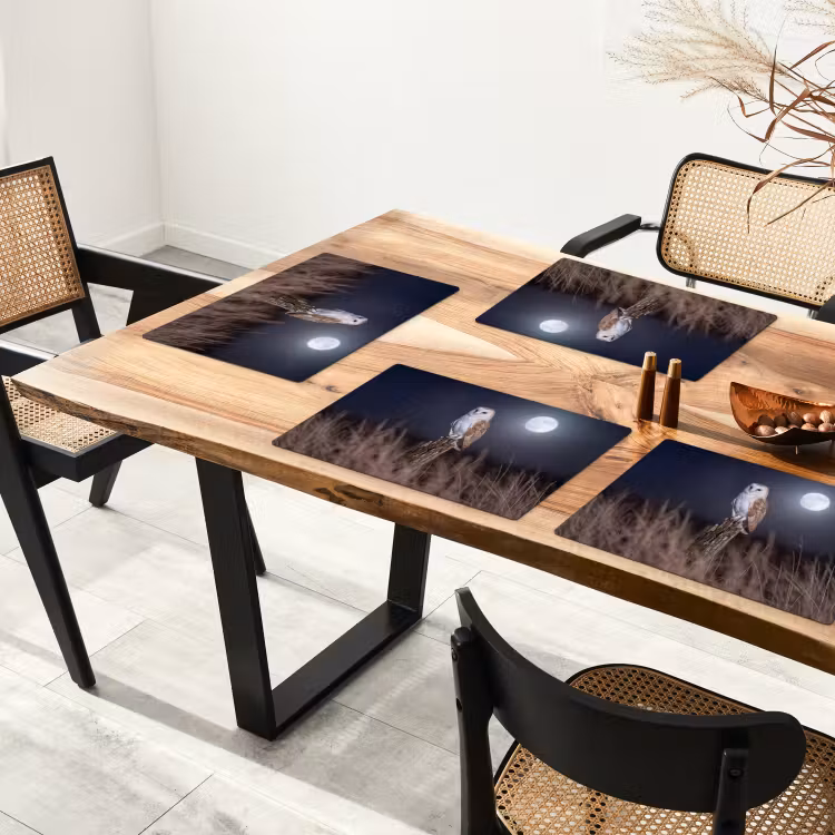 Set de table – 6 pièces - Chouette effraie - Lune - Nuit — 4