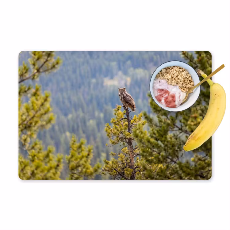 Set de table – 6 pièces - Chouette - Hibou grand-duc - Arbres - Nature — 1