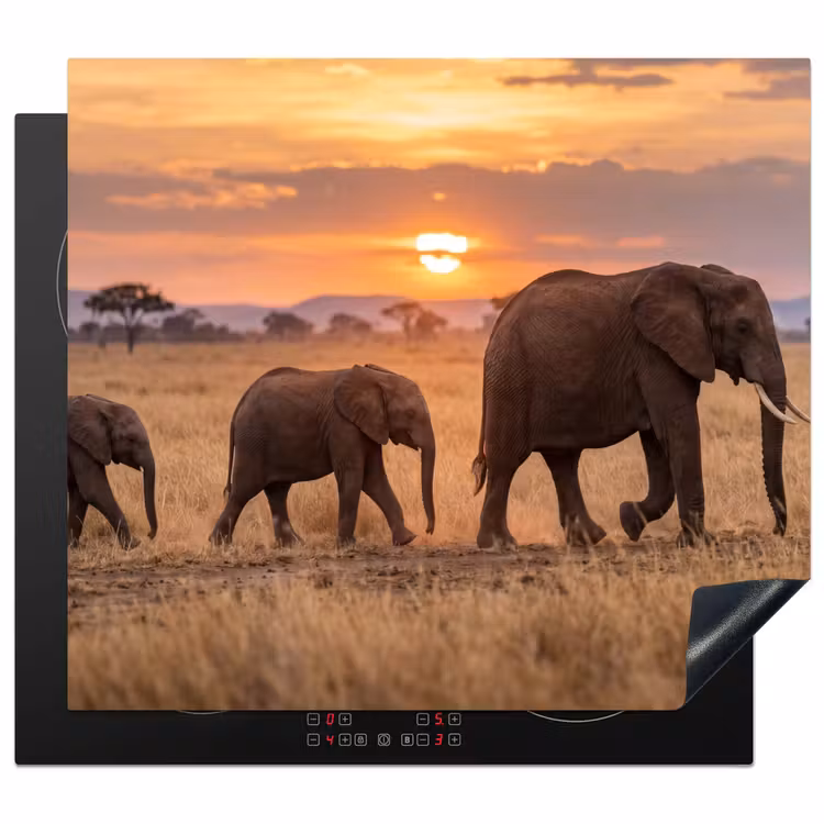 Protection plaque induction - Éléphants - Savane - Coucher de soleil - Afrique - Chaud — 1