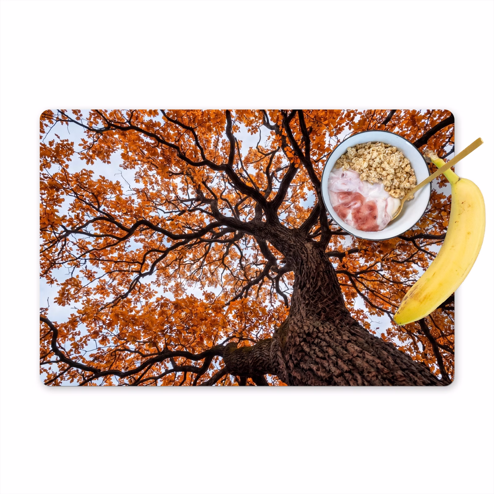 Set de table – 6 pièces - Arbre - Canopée - Automne - Orange - Atmosphérique — 1