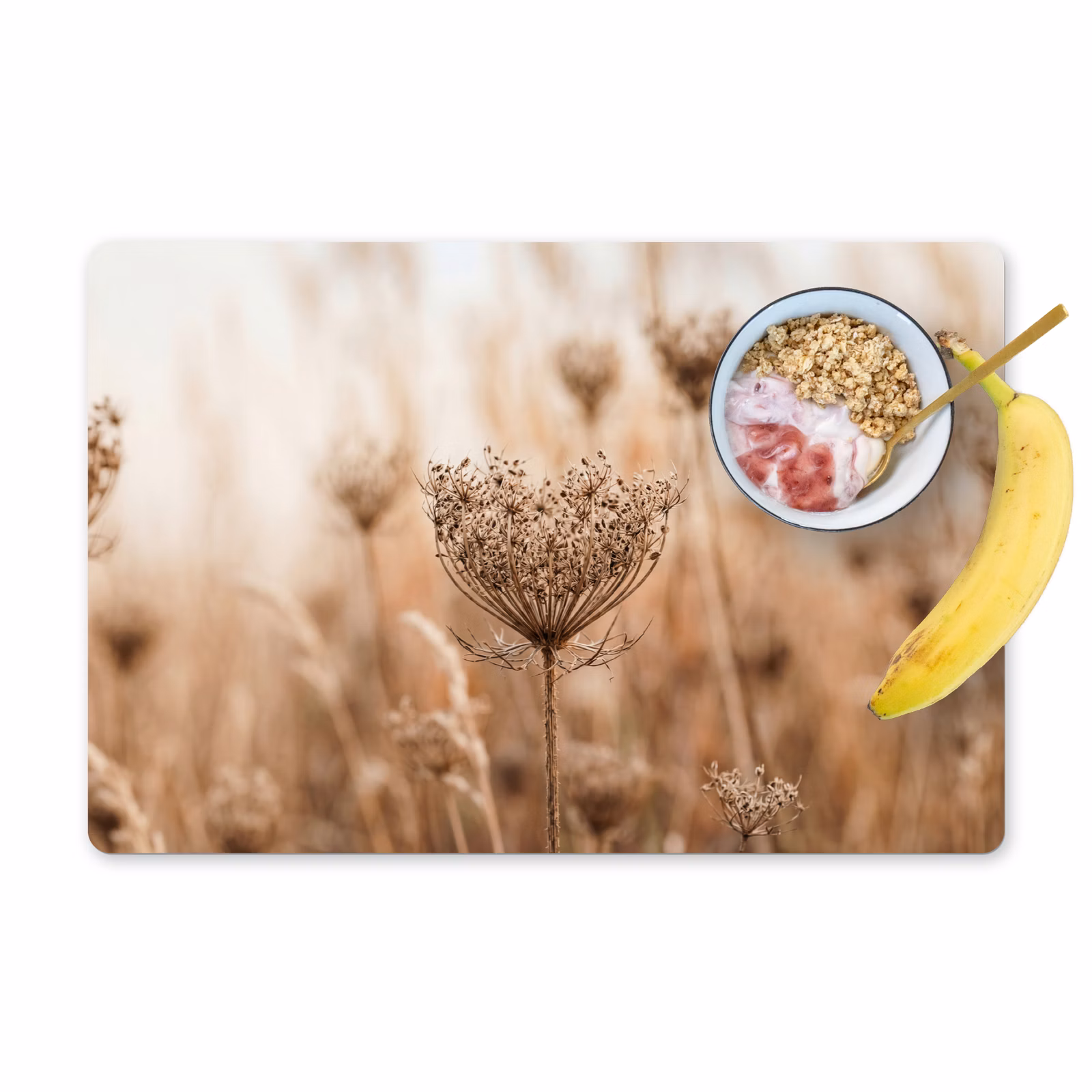 Set de table – 6 pièces - Fleur d'écran - Fleur sèche - Hiver - Beige - Minimaliste — 1