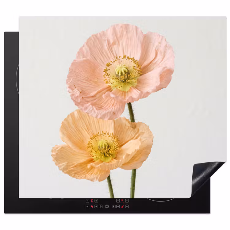 Protection plaque induction - Coquelicots - Botanique - Rose — 1