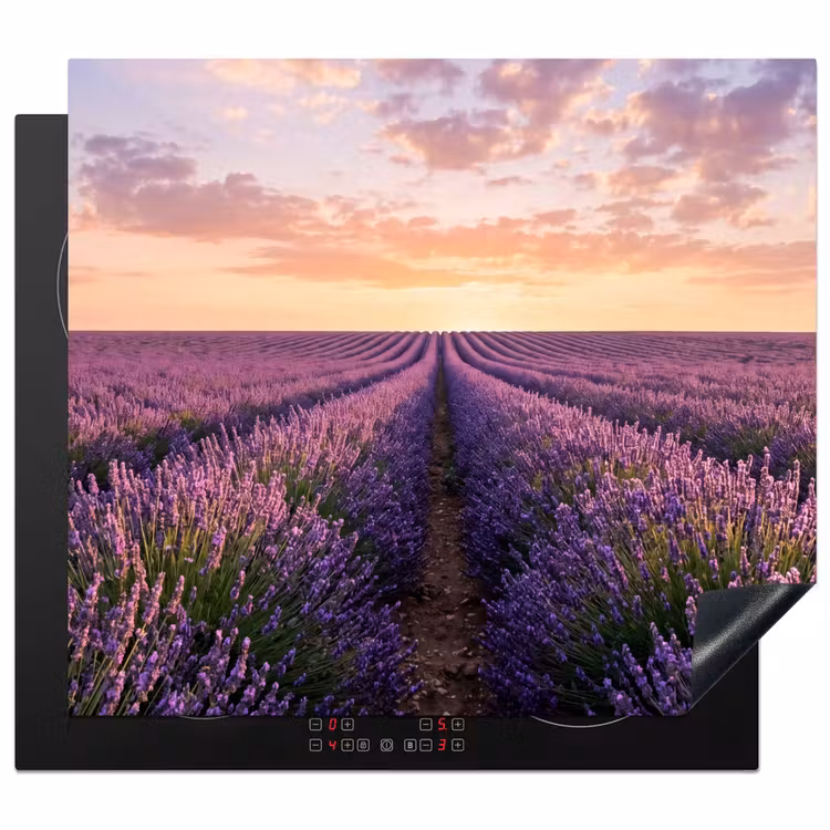 Protection plaque induction - Paysage - Champ de lavande - Violet — 1