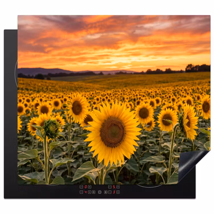Protection plaque induction - Tournesols - Paysage de colline - Jaune — 1