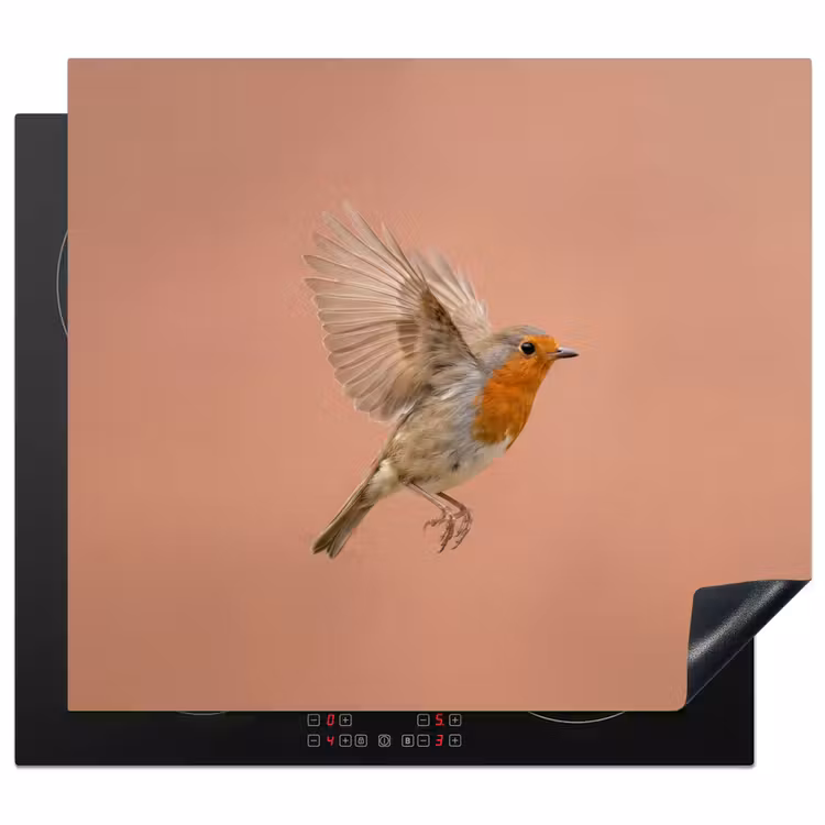 Protection plaque induction - Robin - Nature - Rose — 1