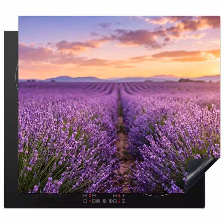 Protection plaque induction - Lavande - Champ - Nature - Violet — 1