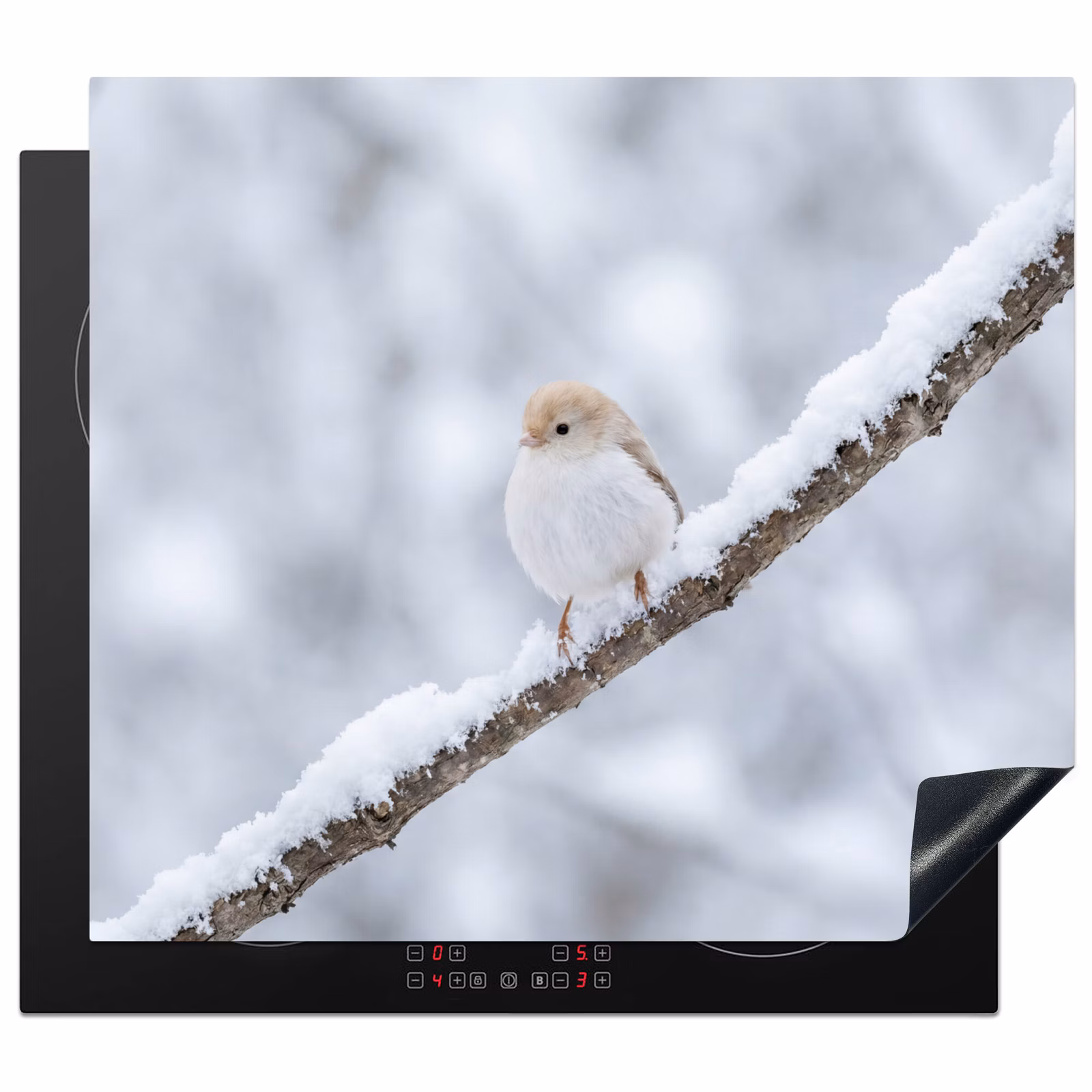 Protection plaque induction - Oiseau - Neige - Branche - Hiver - Douceur — 1