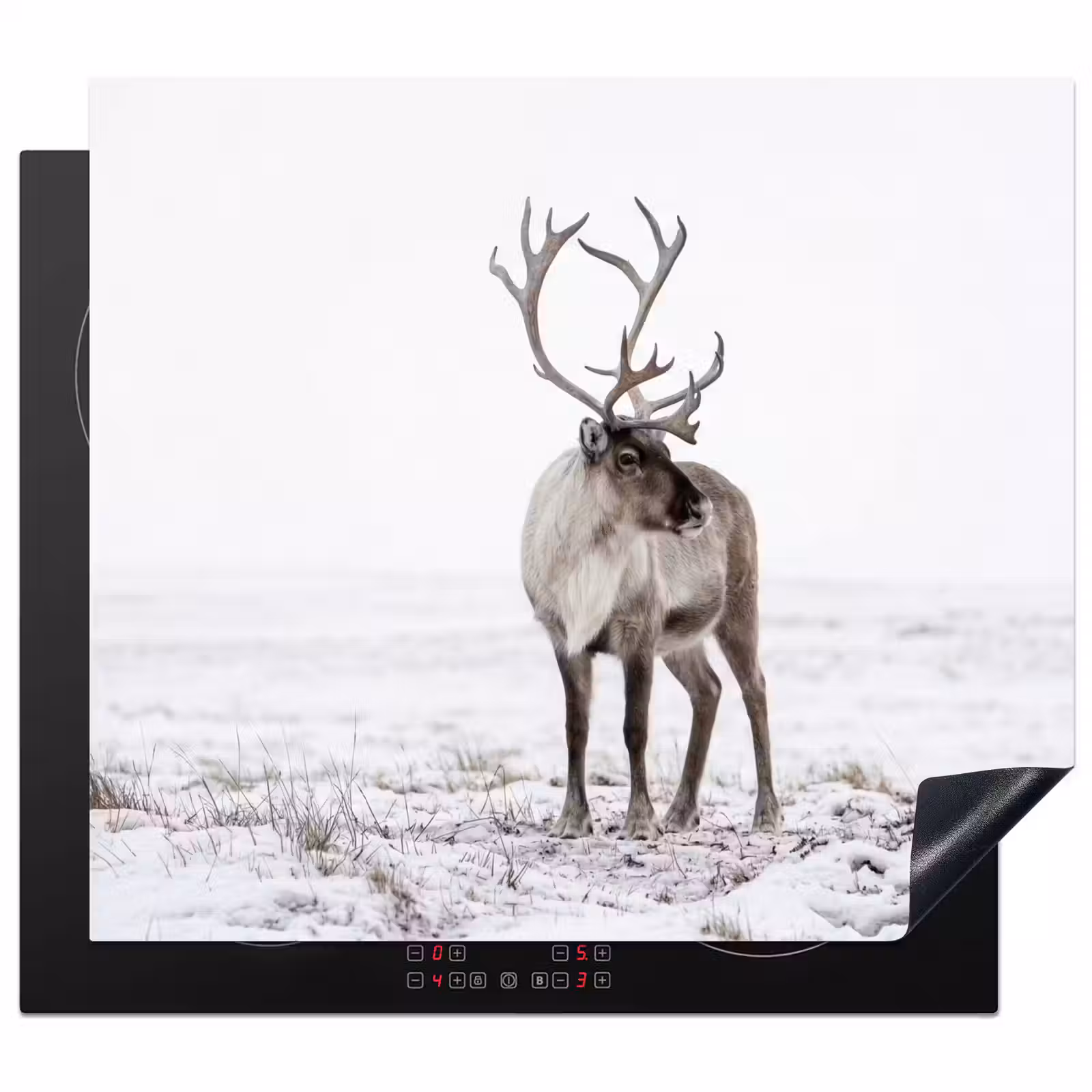 Protection plaque induction - Renne - Bois - Neige - Hiver — 1