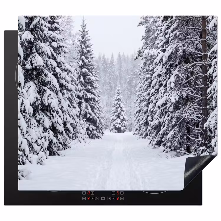 Protection plaque induction - Forêt - Hiver - Neige - Chemin - Nature — 1